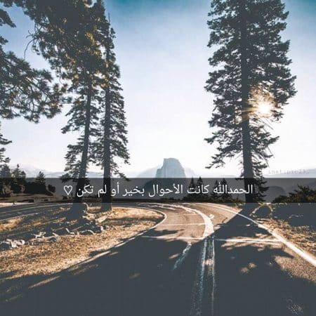 رمزيات جديدة