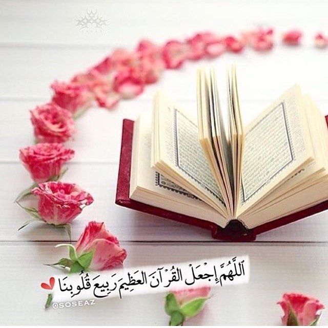 رمزيات ذوق