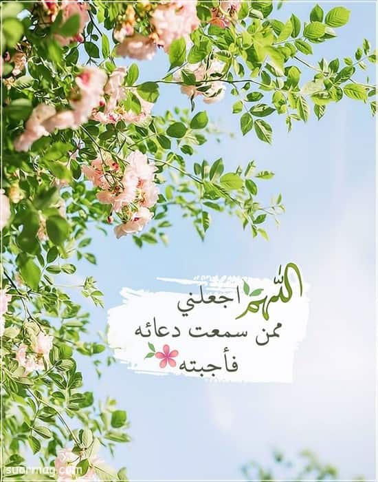 رمزيات ذوق