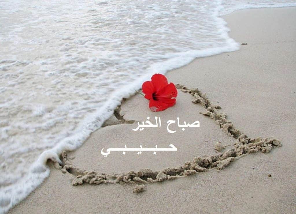 رمزيات صباح الخير حبيبي