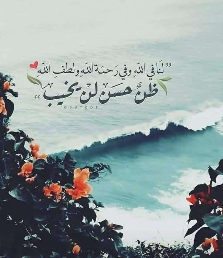 رمزيات عن الحياة
