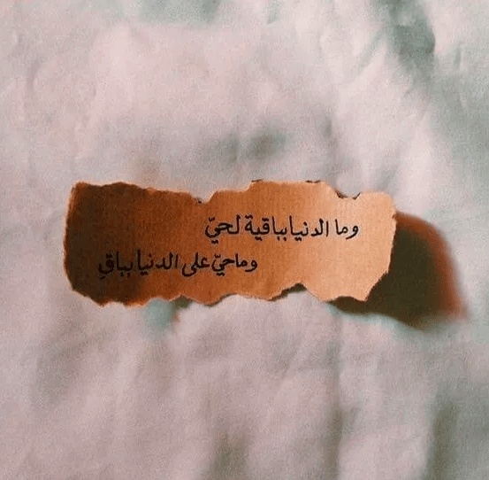 رمزيات عن الحياة