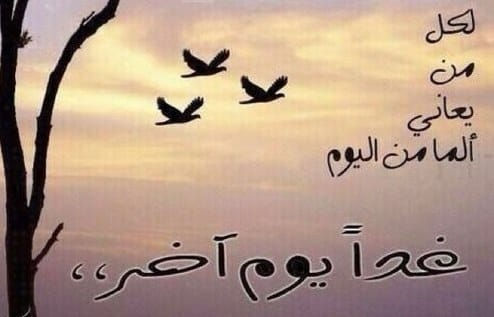 رمزيات عن الحياة