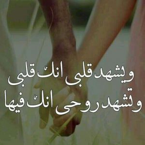 عبارات انت روحي