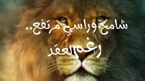 عبارات ترفع الراس