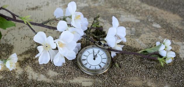 عبارات تكتب في السيرة الذاتية قصيرة