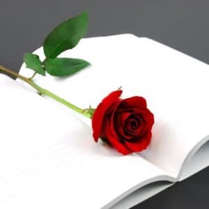 عبارات تكتب في السيرة الذاتية قصيرة