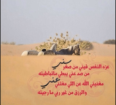 عبارات خليجية عن عزة النفس