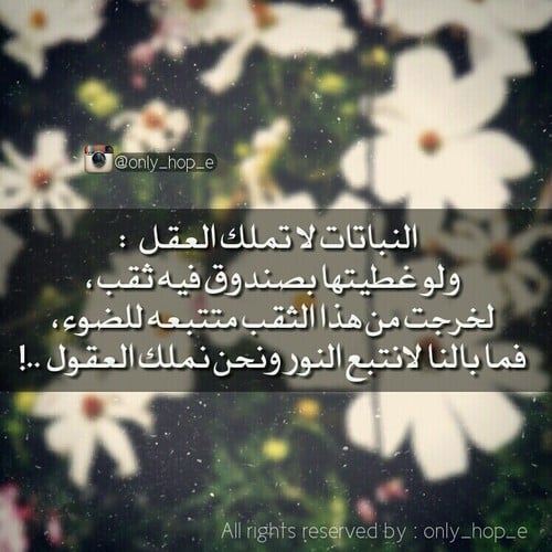 عبارات سناب شات حلوه