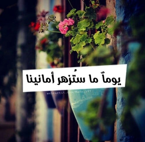 عبارات سناب شات حلوه