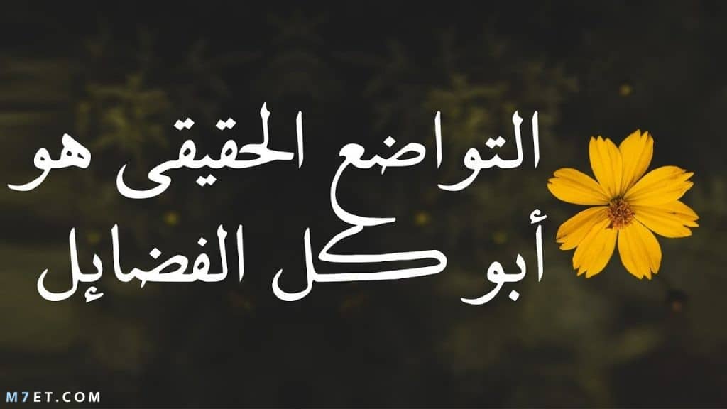 عبارات سناب شات قصيرة