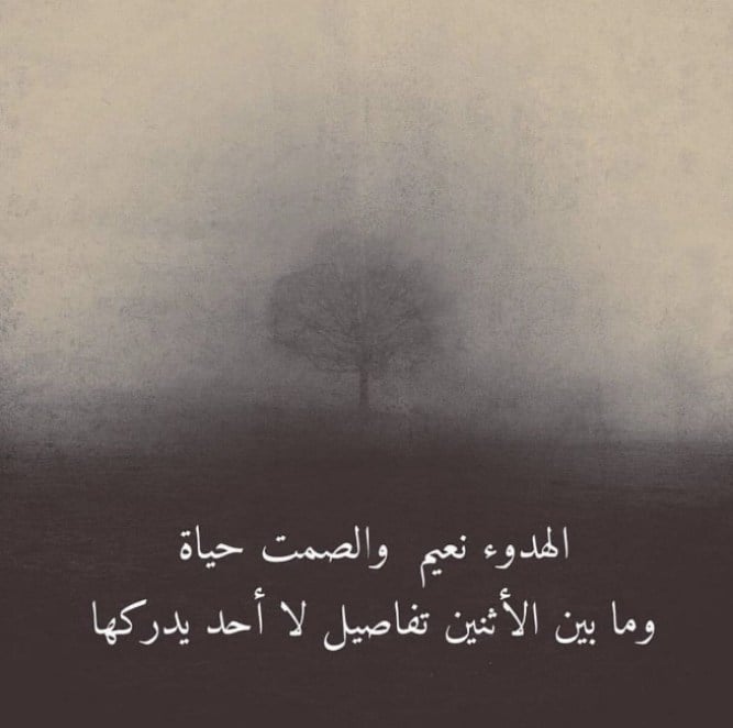 عبارات ظلام الليل