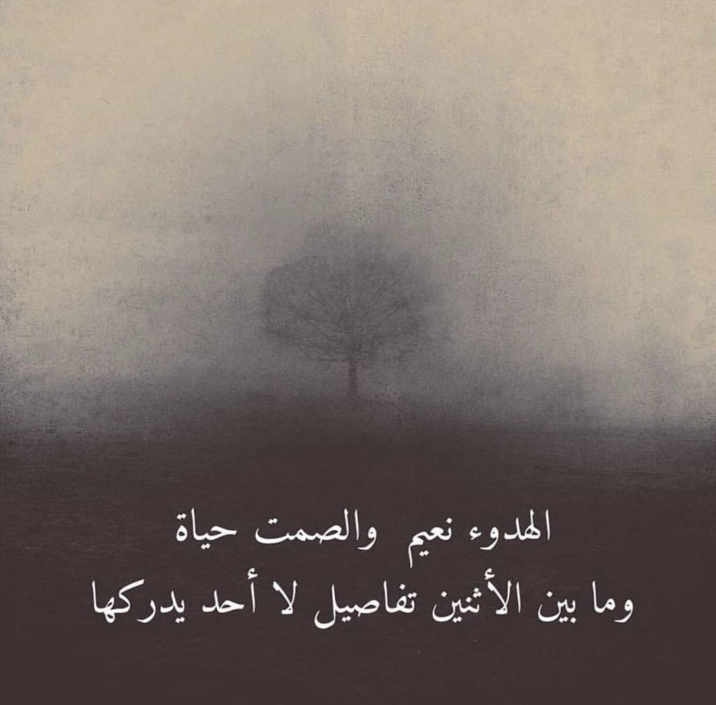 عبارات عن الشخص الهادئ