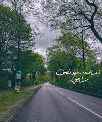 عبارات عن الشخص الهادئ