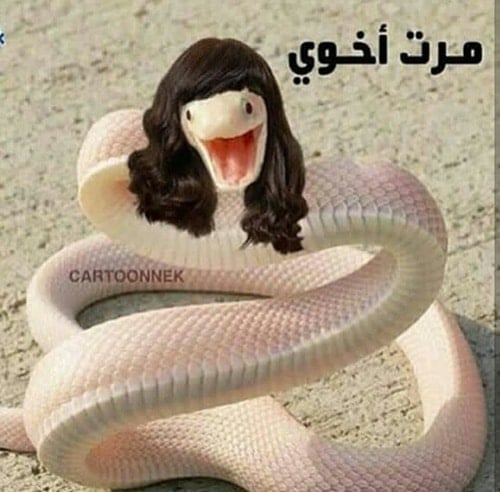 عبارات عن حب زوجة الاخ