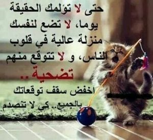 عبارات عن سقف التوقعات