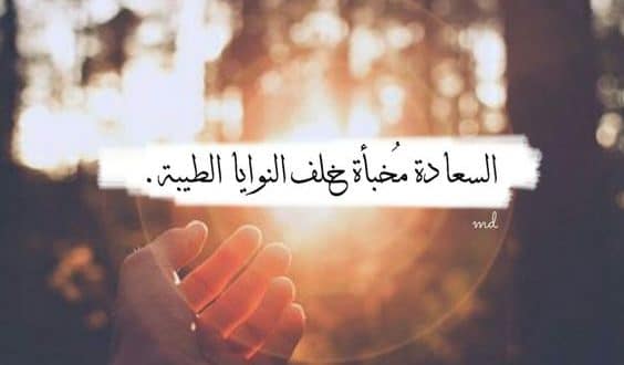 عبارات عن طريق السعادة