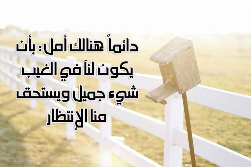 عبارات عن طريق السعادة