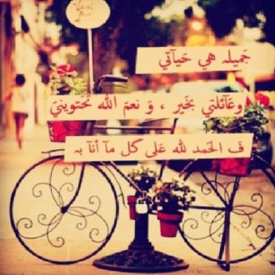 عبارات عن طريق السعادة