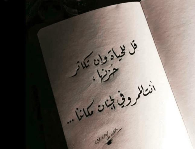 عبارات عن كره الحياة