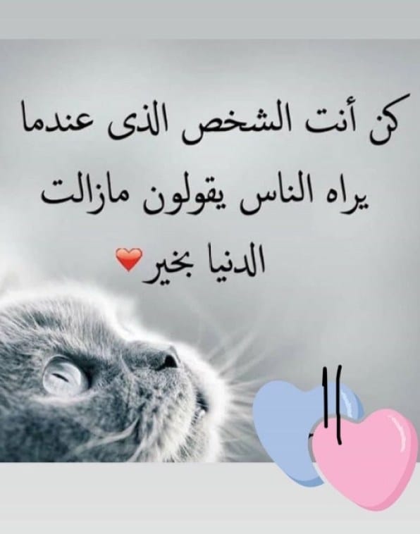 عبارات عن ناس طيبين