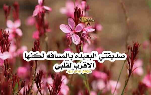 عبارات للصديقة البعيدة