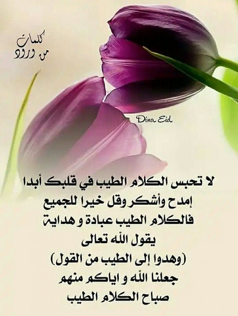 كلام جميل عن القلوب الطيبة