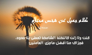 كلام جميل عن شخص محترم