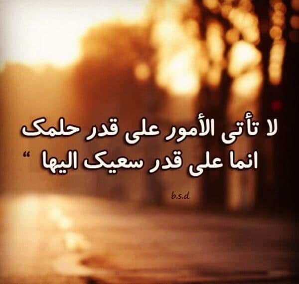 كلام يبعث الطاقة الايجابية