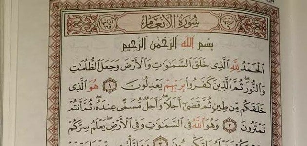 ملخص تفسير سورة الأنعام