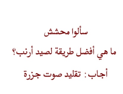 نكت متزوجين مغربية